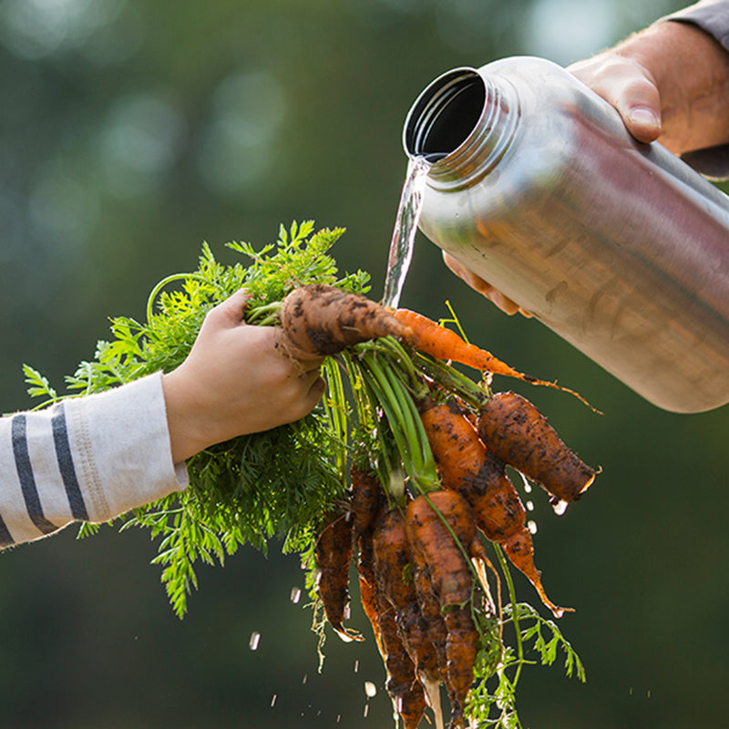 64oz-wide-with-loop-cap-f7 64oz_wide_mouth_bottle_carrots_rinse_square.jpg