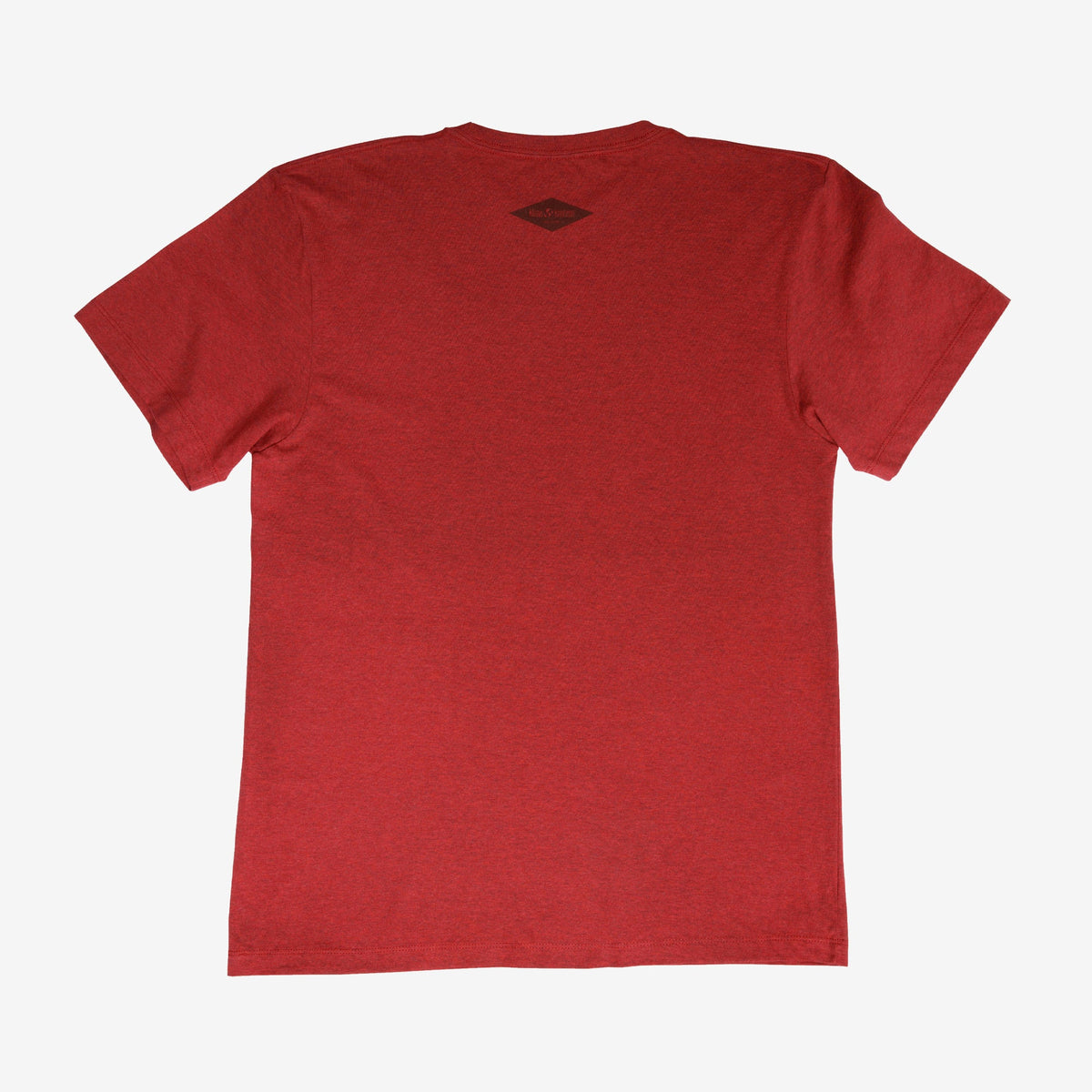 backyard-t-shirt-q7 Shirt_Mtn_Back.jpg